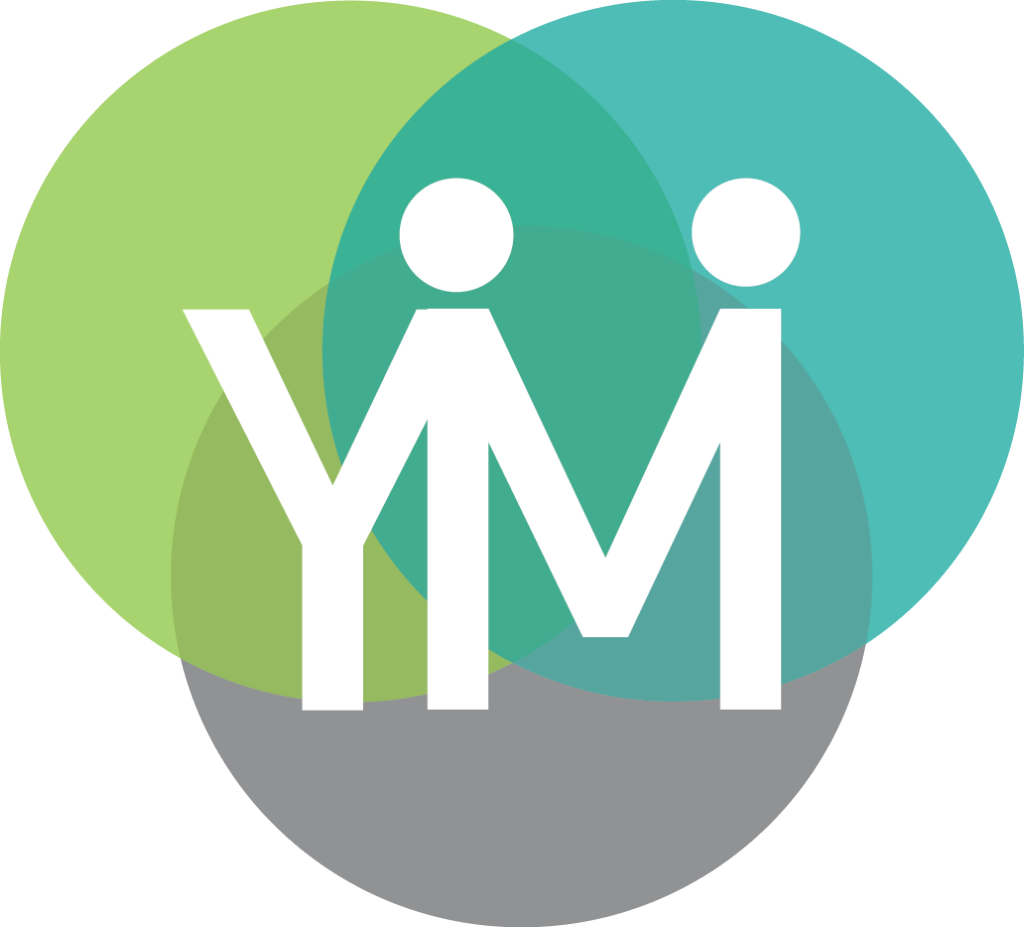 individuele (systeem) therapie